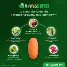ArmoLipid 60 tabletek