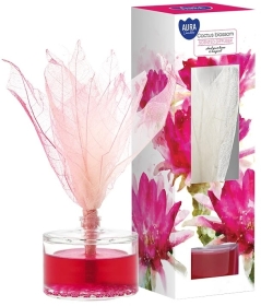 Aura Dyfuzor zapachowy Kwiat Kaktusa 50ml
