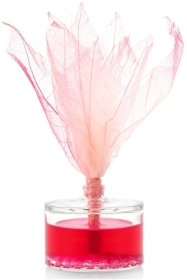 Aura Dyfuzor zapachowy Kwiat Kaktusa 50ml