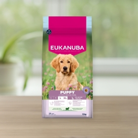 Eukanuba Puppy&Junior Large Jagnięcina Karma sucha dla szczeniaka 12 kg