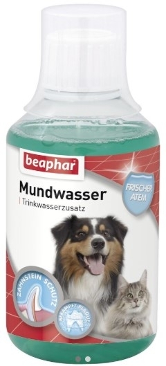 BEAPHAR Mundwasser Płyn do jamy ustnej dla psa i kota 250 ml
