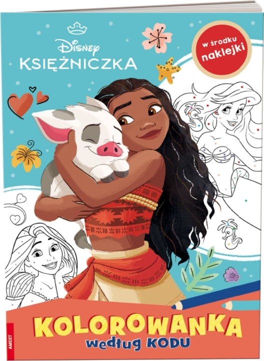 Disney Księżniczka. Kolorowanka według kodu 1 sztuka