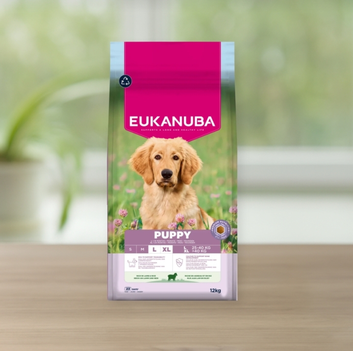 Eukanuba Puppy&Junior Large Jagnięcina Karma sucha dla szczeniaka 12 kg