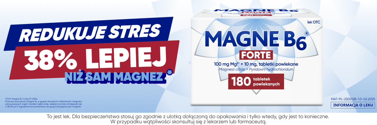 Magne B6